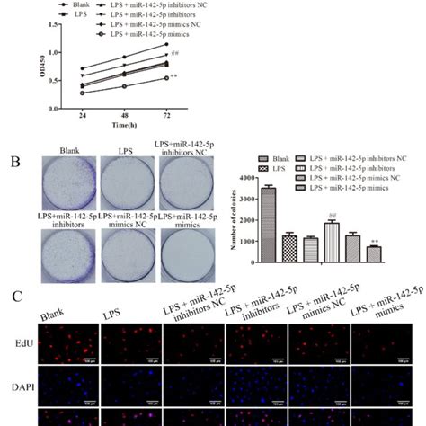 MiR 142 5p Regulates The Proliferation Of LPS Induced MAC T Cells A