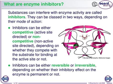 PPT - What are enzyme inhibitors? PowerPoint Presentation - ID:2027798