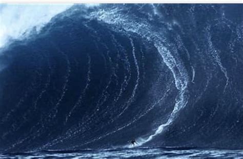 The Behemoth Which Rodrigo Koxa Surfed In November 2017 Is Considered