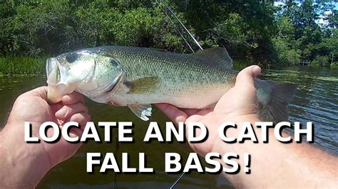 My Cheat Sheet For Fall Bank Fishing Bass Fishing Tips Youtube