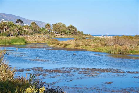 Malibu Lagoon Restoration - The Bay Foundation