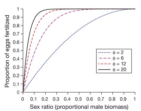 Example Of The Relationship Between Egg Fertilization Rate And Sex