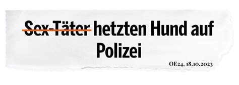 Artikel 68 OE24 Sex Täter aufstehn