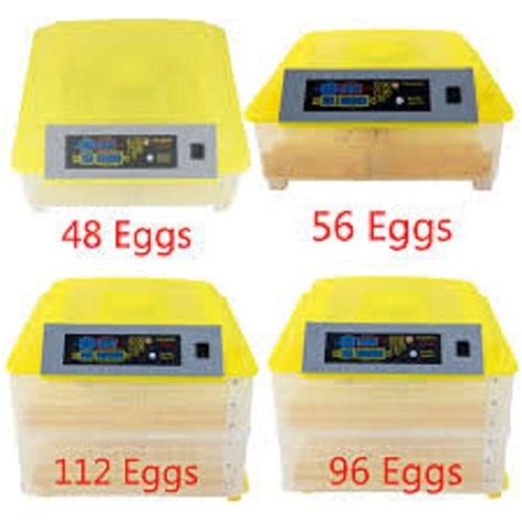 How To Hatch Eggs In Automatic Egg Incubator Capacity