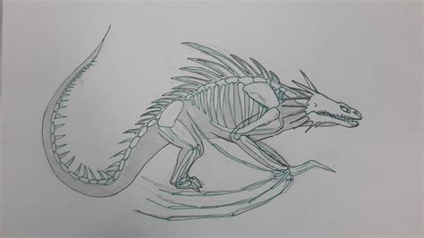 Skeleton Dragon Drawing - Skeletal Dragon By Werewolf-krai On Deviantart | Bochicwasure