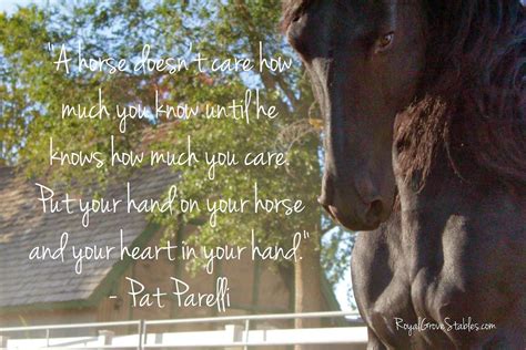 Beautiful Wallpaper: Inspirational Horse Quotes