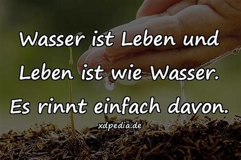 Wasser Meme Schnee Lustige Bilder Frost Bad Humor Xdpedia De