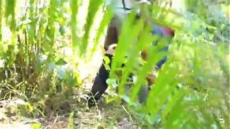 Vidéos femme africaine grosse XVIDEOS