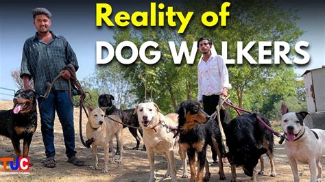 Experienced Dog Walkers Revealed The Reality Of Dog Walking Youtube