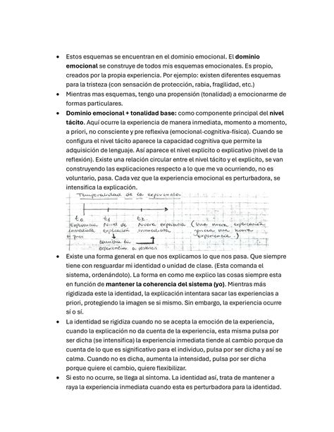 SOLUTION Fundamentos Te Ricos Del Posracionalista Studypool