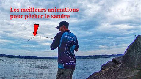 comment pêcher facilement le sandre aux leurres du bord les meilleurs