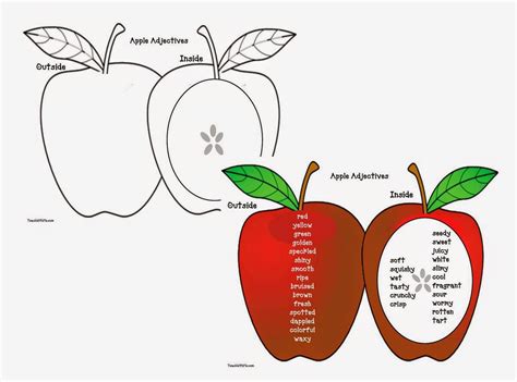 Classroom Freebies Apple Adjectives