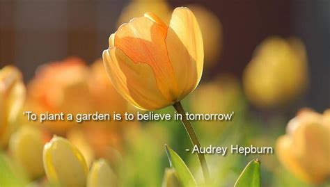 Top 10 Inspirational Gardening Quotes Primrose Garden Club Expert Tips Advice And Inspiration