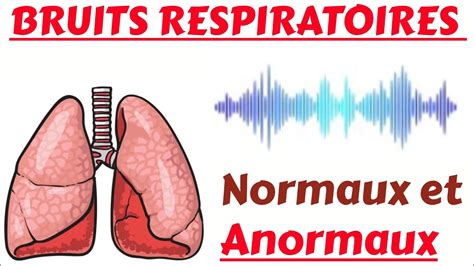 D Couvrez Les Diff Rences Entre Les Bruits Respiratoires Normaux Et