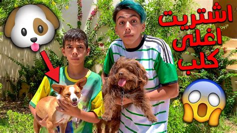 اشتريت اغلى كلب لاخي صغير 😱🐶 شوفوا شحال الثمن ديالوا 😱💸 Youtube