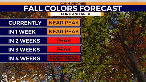 Fall Leaves In Portland Oregon When Will We See Peak Colors