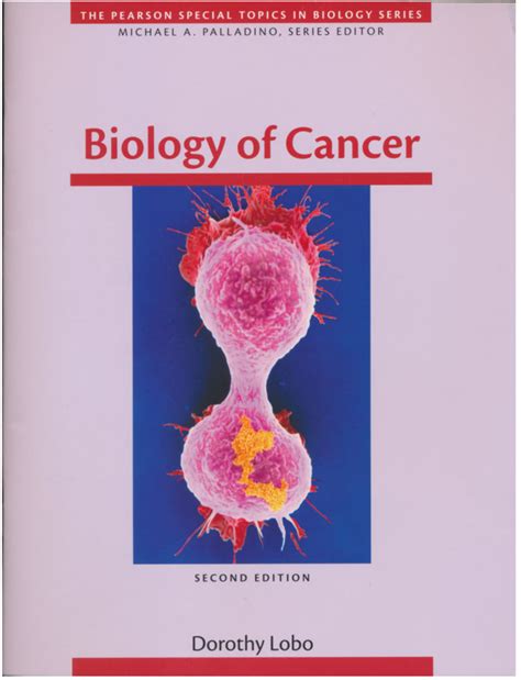 Cancer Biology Handout Bio Studocu