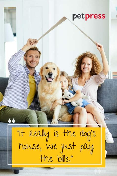 50+ Best Dogs Are Family Quotes on Recognizing Their Loyalty