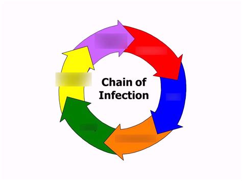 Chain of Infection Diagram | Quizlet