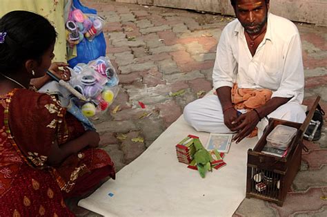 Stock Pictures: Fortune Telling by a parrot!