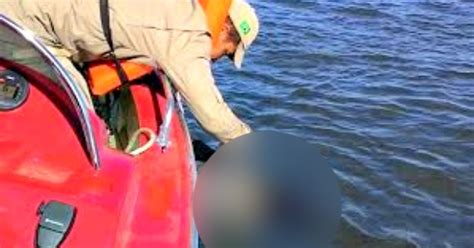 G Pescador Encontrado Morto No Rio Sucuri Dois Dias Ap S Buscas