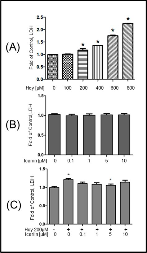 Figure 1 From The Protective Effects Of Icariin Against The