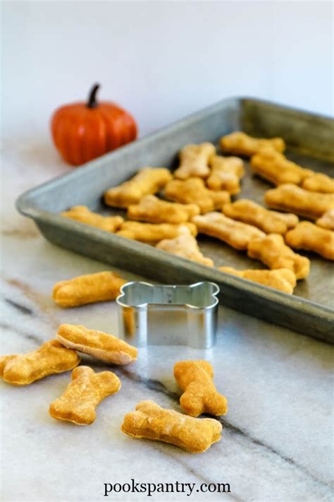 Soft Pumpkin Dog Treats - Pook's Pantry Recipe Blog