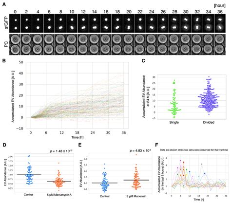 Monitoring Of Ev Secretion Dynamics A Representative Time Lapse