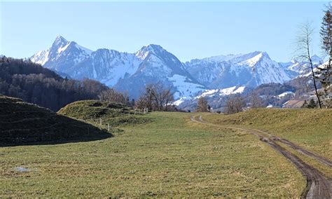 Radikale Poesie Journal F R Den Gedehnten Blick