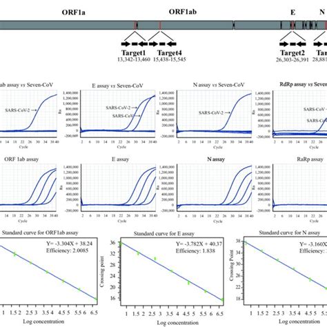 Development Of Three RRT PCR Assays For Detection Of SARS CoV 2 A