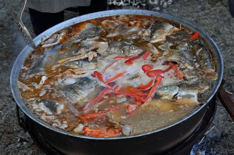 La Sopa De Pescado Hierve En Un Caldero En La Hoguera De La Naturaleza