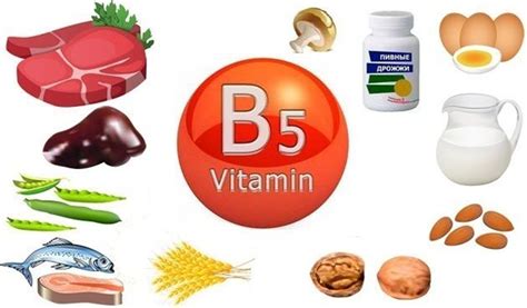 Витамин B5: в каких продуктах содержиться | Ashaindia
