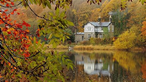 Hd Wallpaper Green Leafed Tree Brown House Near Body Of Water