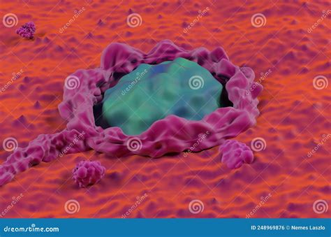 Cancerous Colon Surface Super Macro Colorectal Cancer Closeup View 3d Illustration Stock