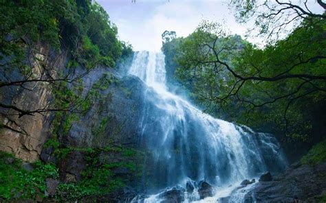 13 Stunning Waterfalls in Kodaikanal You Must Visit (2023)