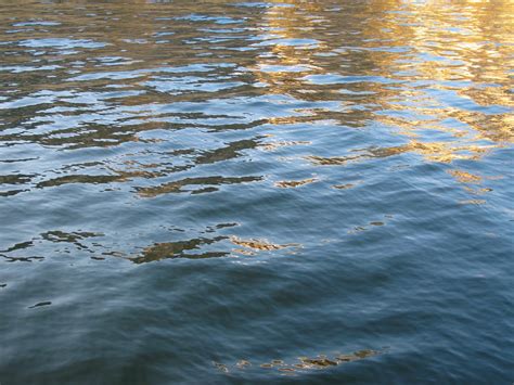 water reflections Free Photo Download | FreeImages