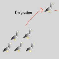 Immigration and Emigration Tutorial | Sophia Learning