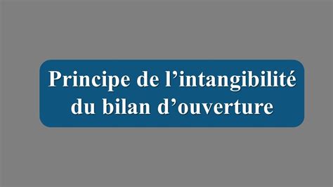 Les Principes Comptable De L Ohada Principe De Lintangibilit Du