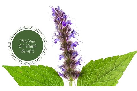 Patchouli Oil Benefits: An Aromatic And Reviving Retreat!