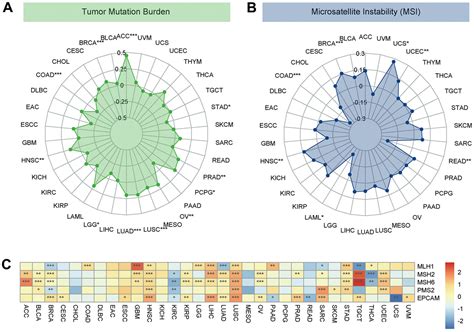 Biological And Immunological Significance Of Dll Expression In