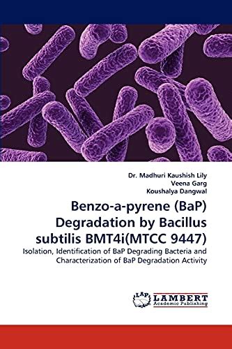 Benzo A Pyrene Bap Degradation By Bacillus Subtilis Bmt4imtcc 9447