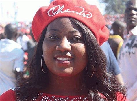 Mdc Alliance Trio Halts High Court Proceedings Zimbabwe Situation