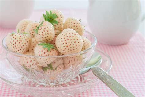 Pineberry & Pineberries (All You Need To Know)