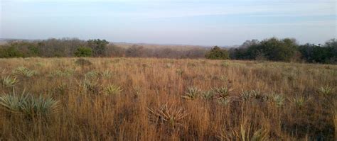 Fort Worth Nature Center & Refuge · iNaturalist.org