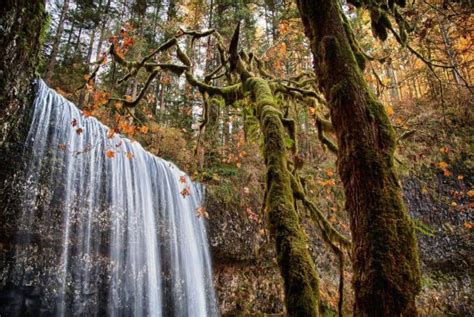 Hiking West Virginia Meet The Countrys First Statewide Waterfall Trail Territory Supply