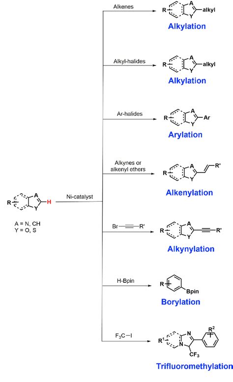 Figure From Nickel Catalyzed Ch Functionalization Using A Non