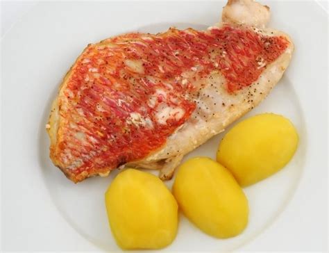 2 Baked Red Snapper Recipes - Fishbasics