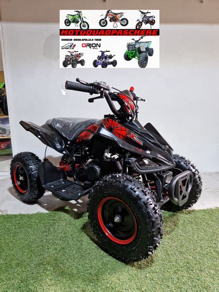 Pocket Quad 49cc Enfant Python Motoquadpaschere En Ile De France