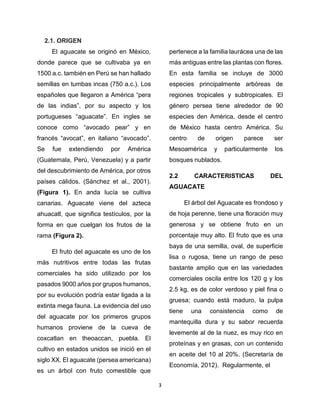 PROPIEDADES DEL AGUACATE Persea Americana PDF