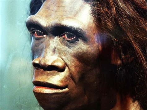 Evidence Of Unknown Extinct Human Relative Found In DNA Study Of